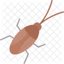 Cockroach  Symbol