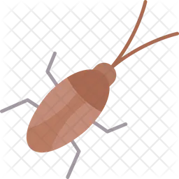 Cockroach  Icon