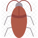 Cockroach  Symbol