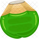 Coco Vetor Organico Icon