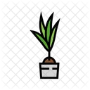 코코 식물  아이콘