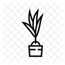 Coco Plant  Symbol