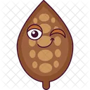 Cocoa Bean  Icon
