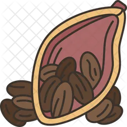 Cocoa Bean  Icon