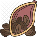 Cocoa Bean Cocoa Bean Icône