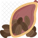 Cocoa Bean  Icône