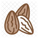Cocoa Beans Food Icon