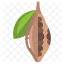 Cocoa Fruit  Icon