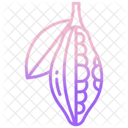 Cocoa Fruit  Icon