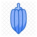 Cocoa  Icon