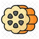 Cocoa Fruit Nature Icon