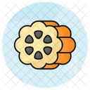 Cocoa Fruit Nature Icon