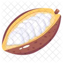 Cocoa Seeds Icon