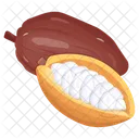 Cocoa Seeds  Icon