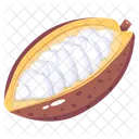 Cocoa Seeds  Icon