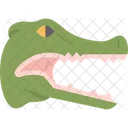 Cocodrilo Caiman Cabeza Icono