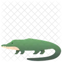 Cocodrilo  Icono