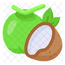 Coconut Water Fruit Icon
