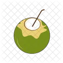 Coconut Water Coconut Fruit Icon
