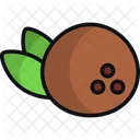 Coconut  Icon