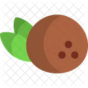 Coconut  Icon