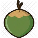 Coconut  Icon