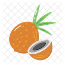 Coconut  Icon