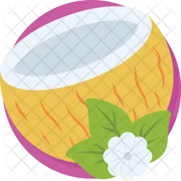 Coconut  Icon