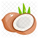 코코넛  아이콘