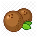 Coconut Fruit Healthy Icon