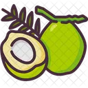 Coconut Vegan Fruit Icon