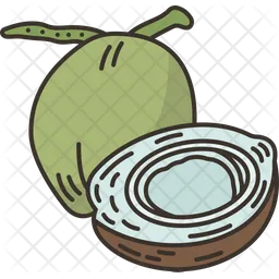 Coconut  Icon