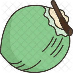 Coconut  Icon