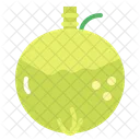 Coconut  Icon