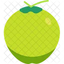 Coconut Vegetable Food Icon