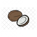 Coconut Fruit Food Icon
