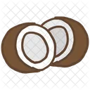 Coconut Seed Shell Icon