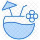 Coconut drink  Icon