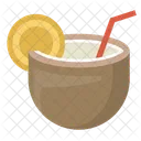 Coconut Drink Straw Icon