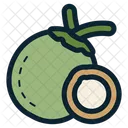 Coconut Fruit  Icon