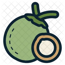 Coconut Fruit  Icon