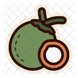 Coconut Fruit  Icon