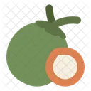 Coconut Fruit  Icon