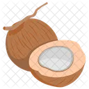 Coconut Coco Nut Icon