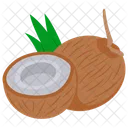 Coconut  Icon