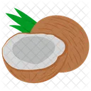 Coconut Coco Oil Dry Fruit Icon