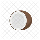 Coconut  Icon