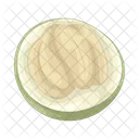 Coconut  Icon