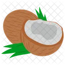 Coconut  Icon