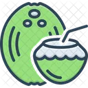 Coconut Nucifera Cocos Icon